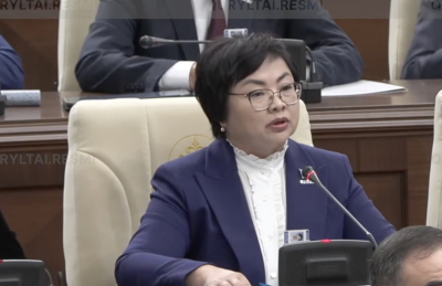 Әлеуметтік желілерде тарихқа қатысты бұрмаланған ақпарат тез таралады &ndash; депутат