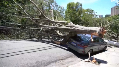 Бразилияда дауылдан екі миллион адам жарықсыз қалды