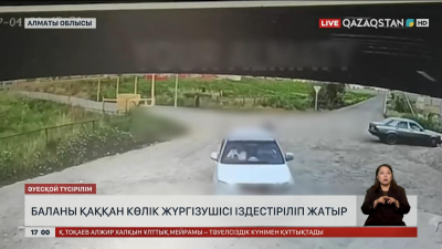 Алматы облысында баланы қаққан көлік жүргізушісі іздестіріліп жатыр