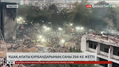Ұшақ апаты құрбандарының саны 294-ке жетті