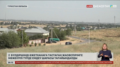 Түркістан облысында 2 бүлдіршінді әжетханаға тастаған жасөспірімге мәжбүрлі түрде емдеу шарасы тағайындалды